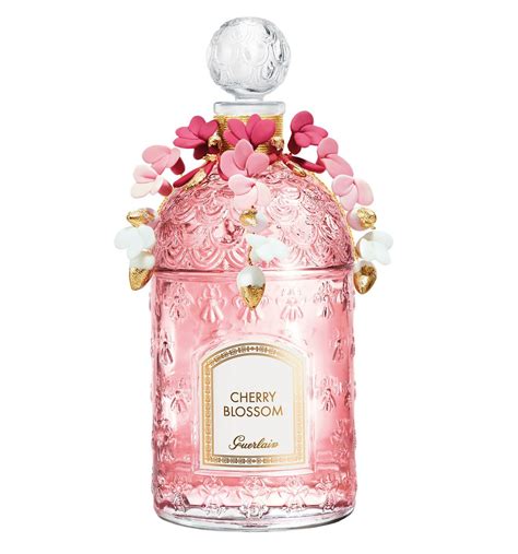 chloe cherry blossom perfume|best cherry blossom perfume.